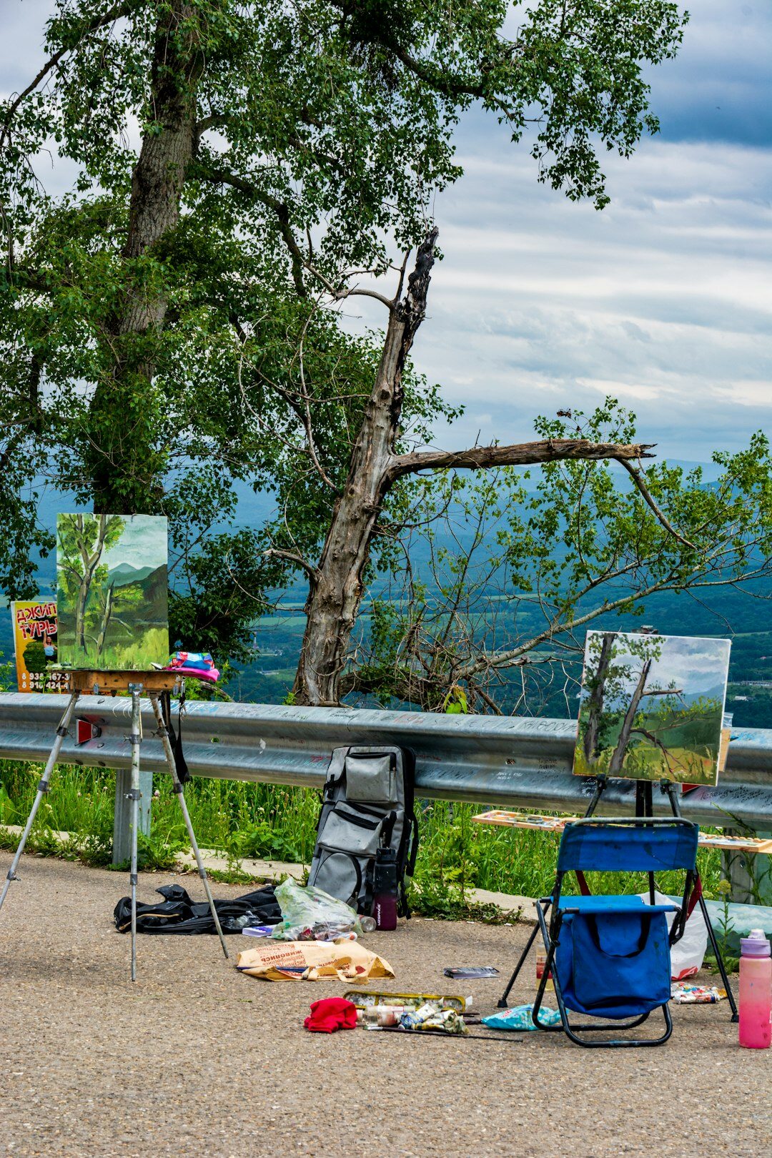 senior man painting landscape