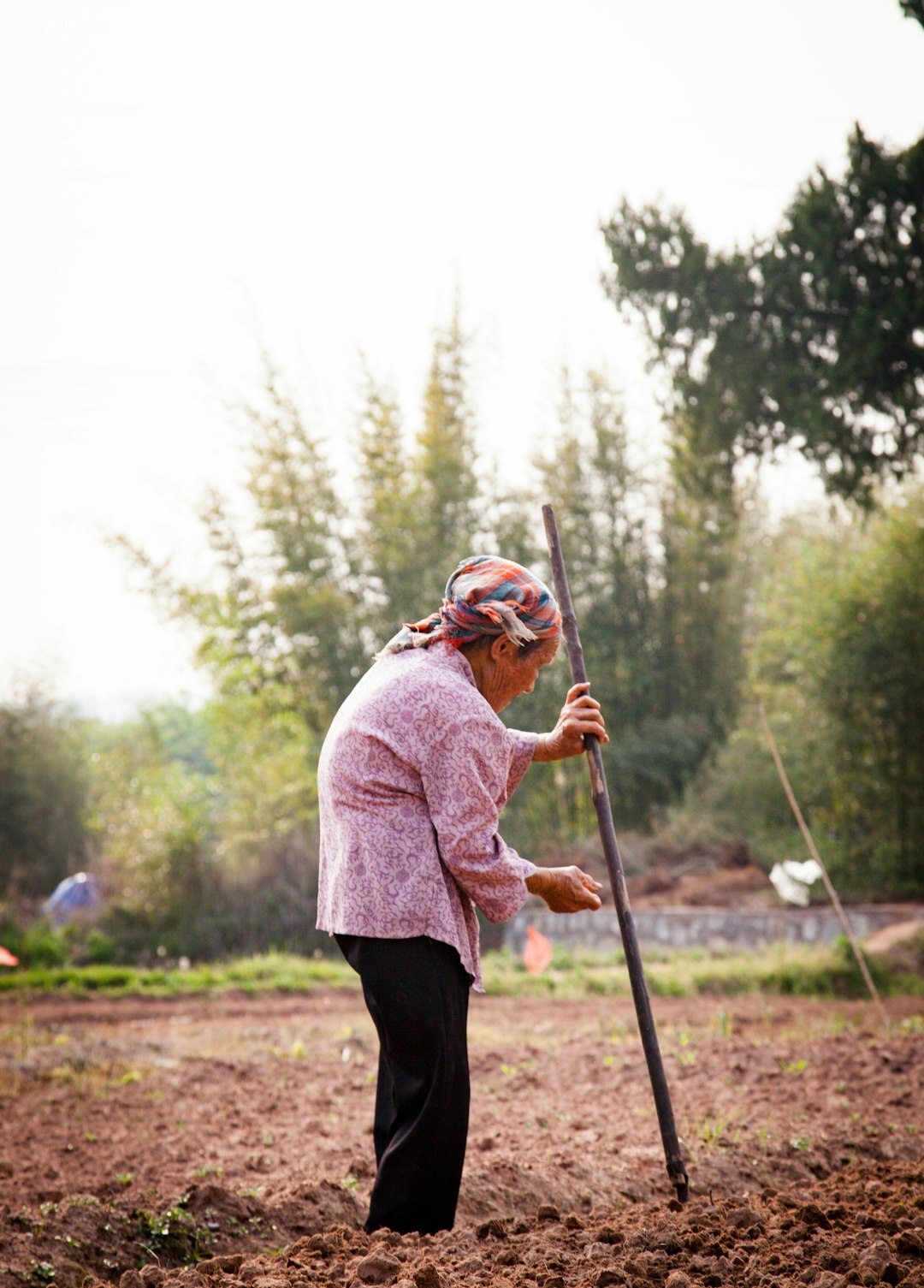 senior woman gardening