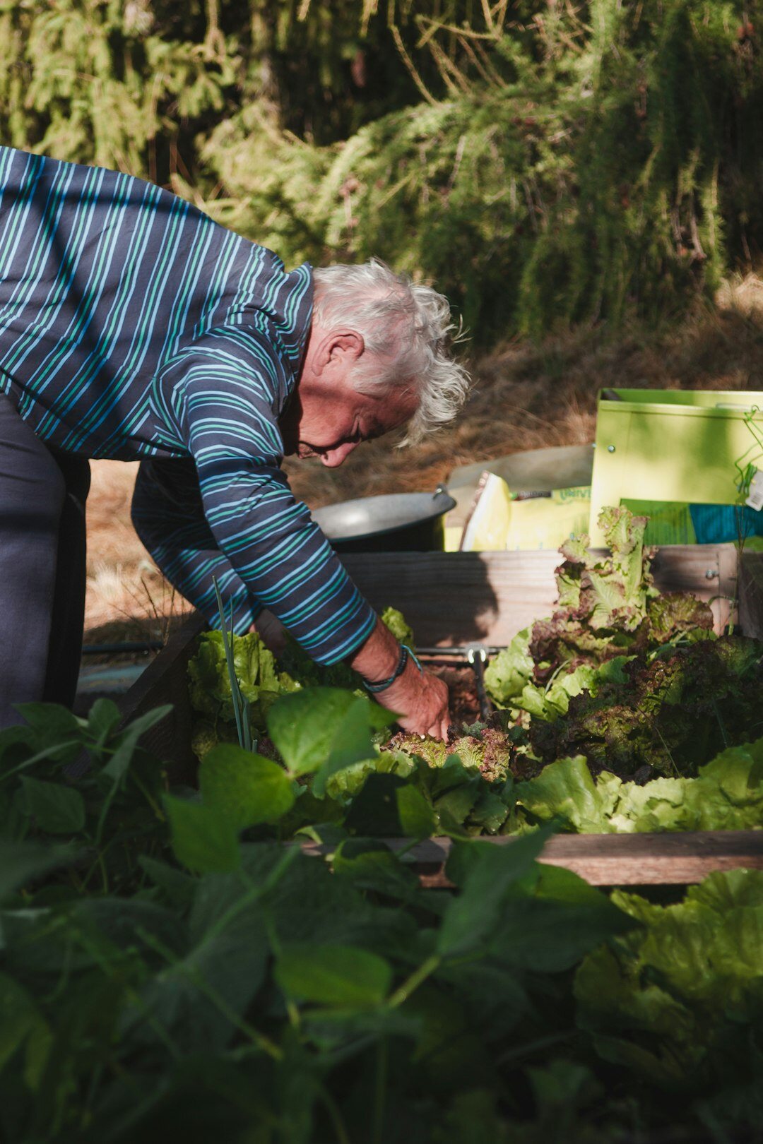 senior reading book in garden